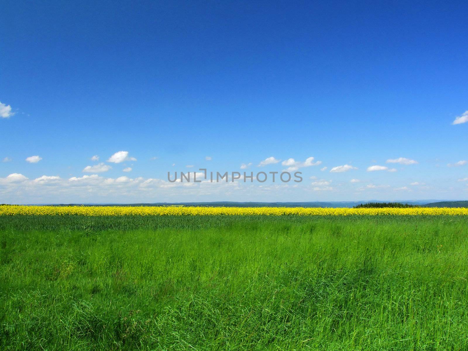 Himmel, Feld und Wiese