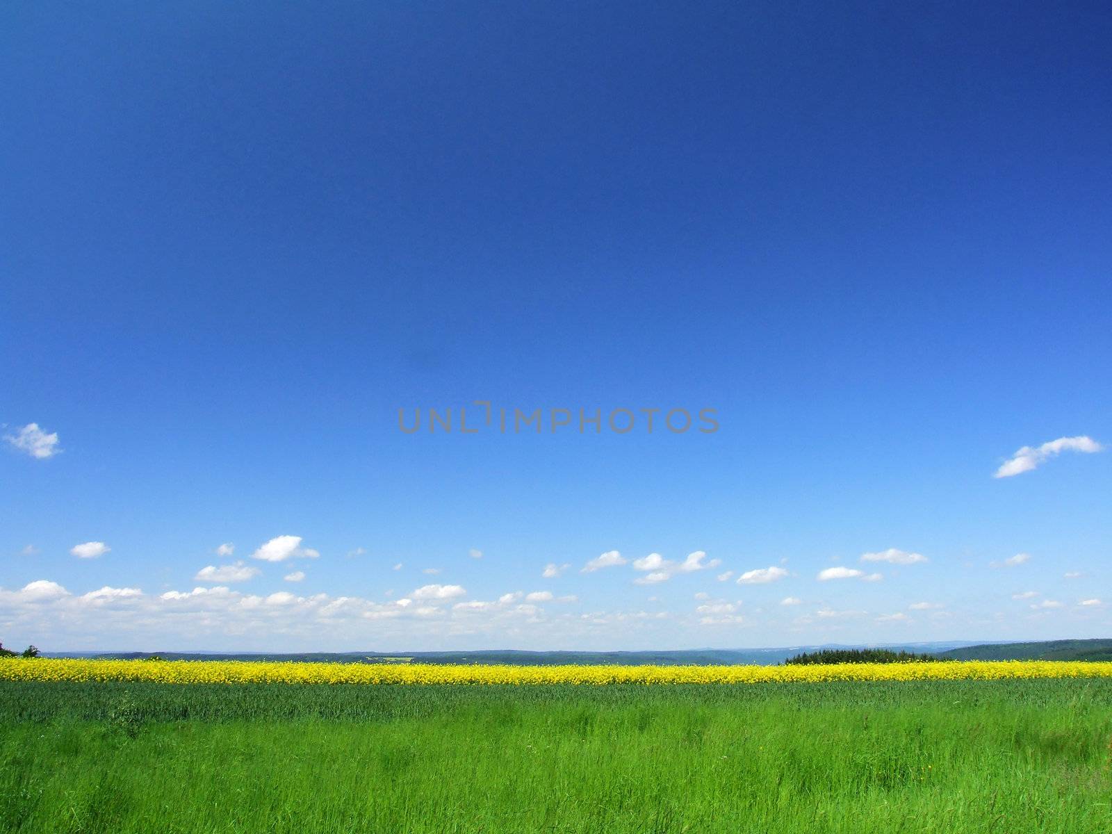Himmel, Feld und Wiese
