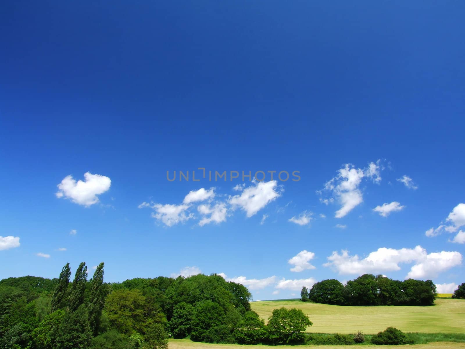 Himmel über Landschaft mit Bäumen
