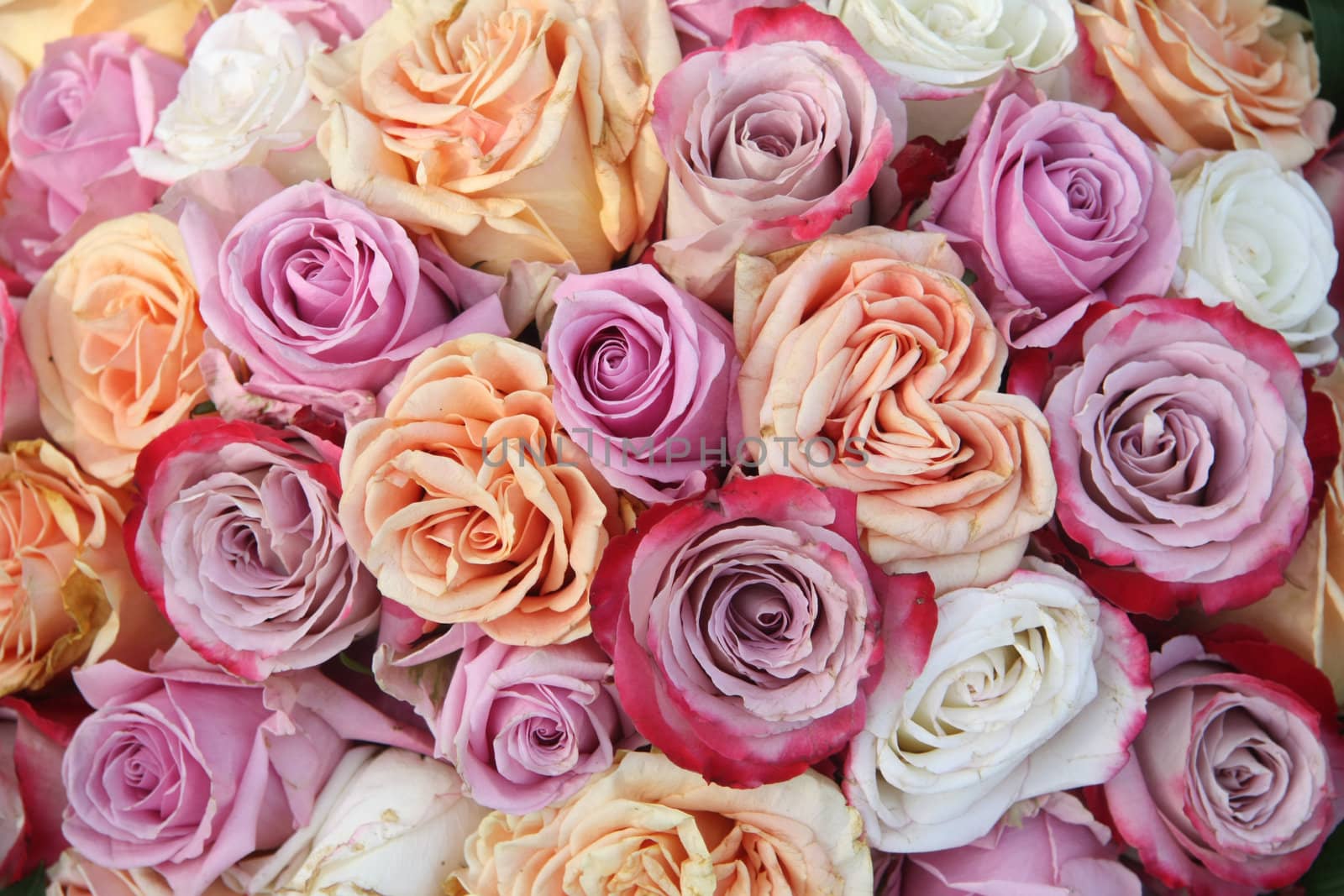 A floral arrangement made off big orange, white and purple lila roses