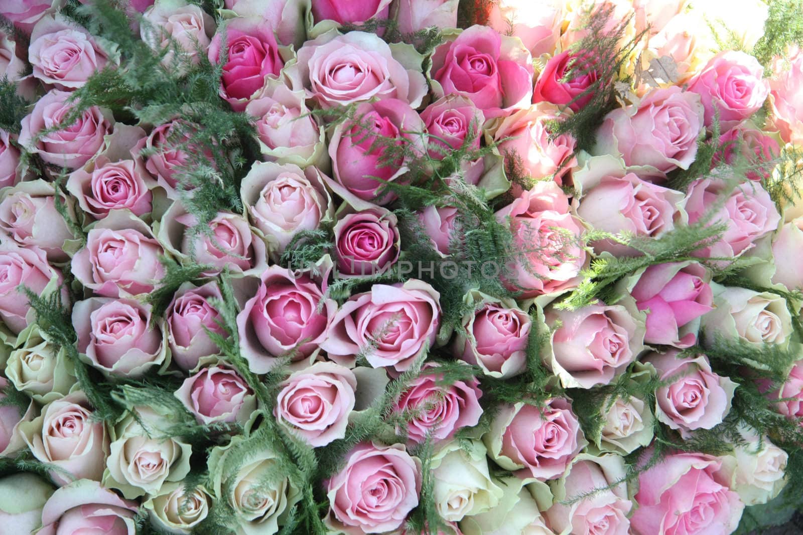 Floral arrangement made off pink roses in different shades