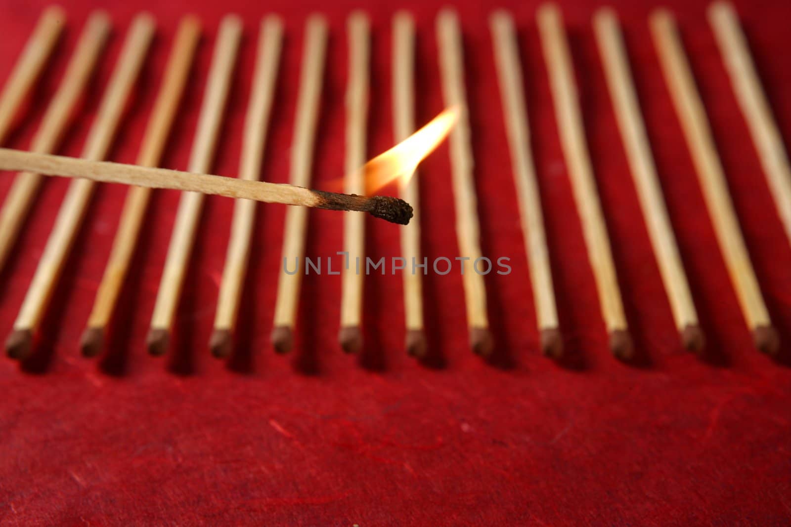 Light wooden matches arrangement in a row over red background