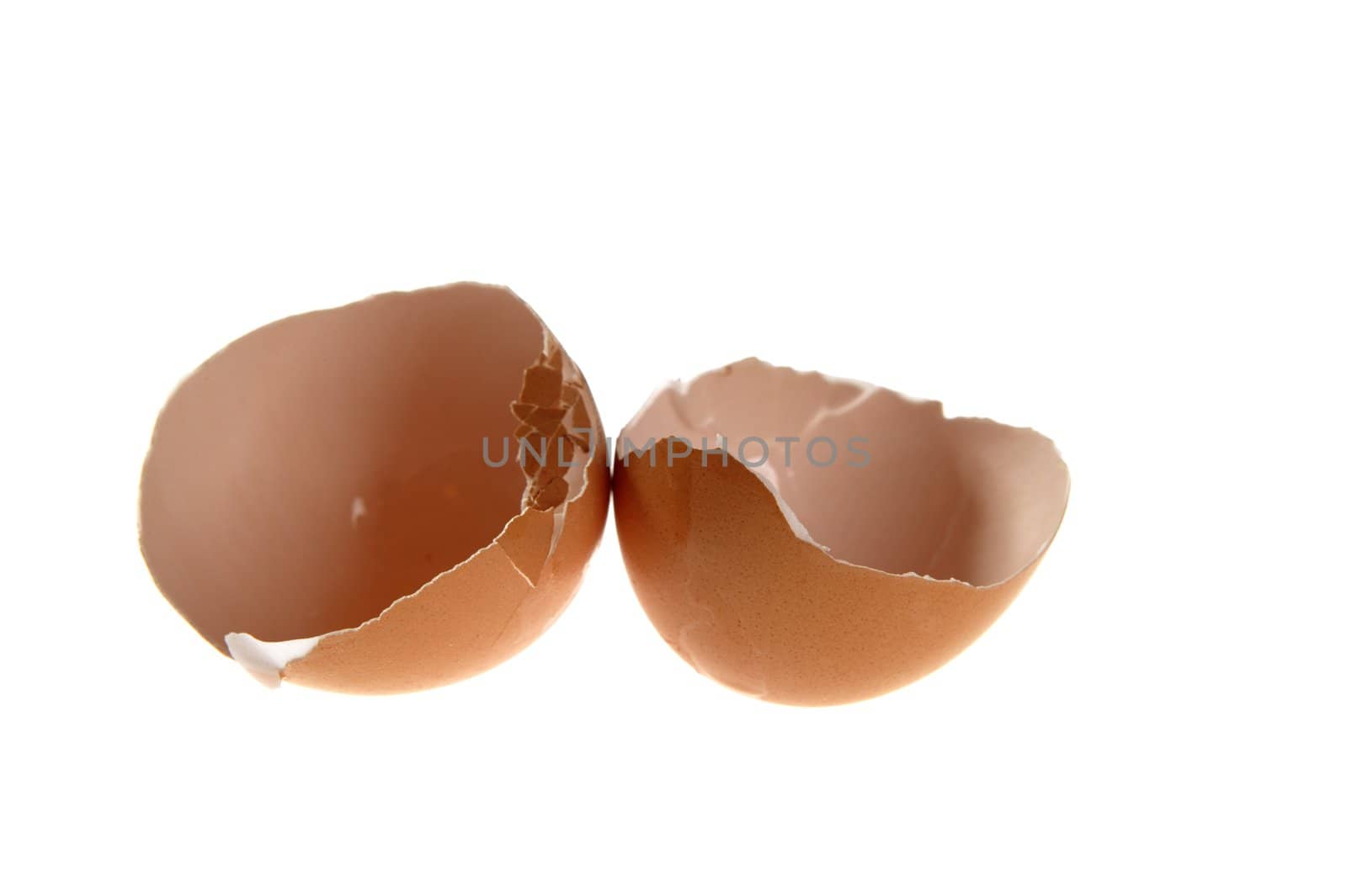 Eggshell open in two parts isolated on white