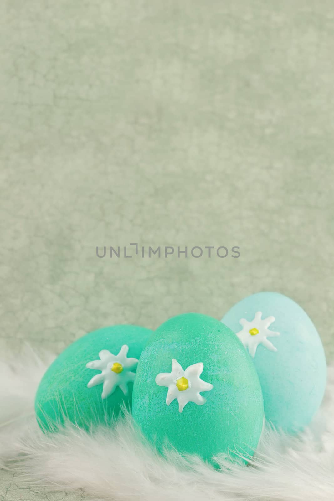 Easter eggs in a nest of feathers against a green vintage background with room for copyspace. Extreme shallow DOF.
