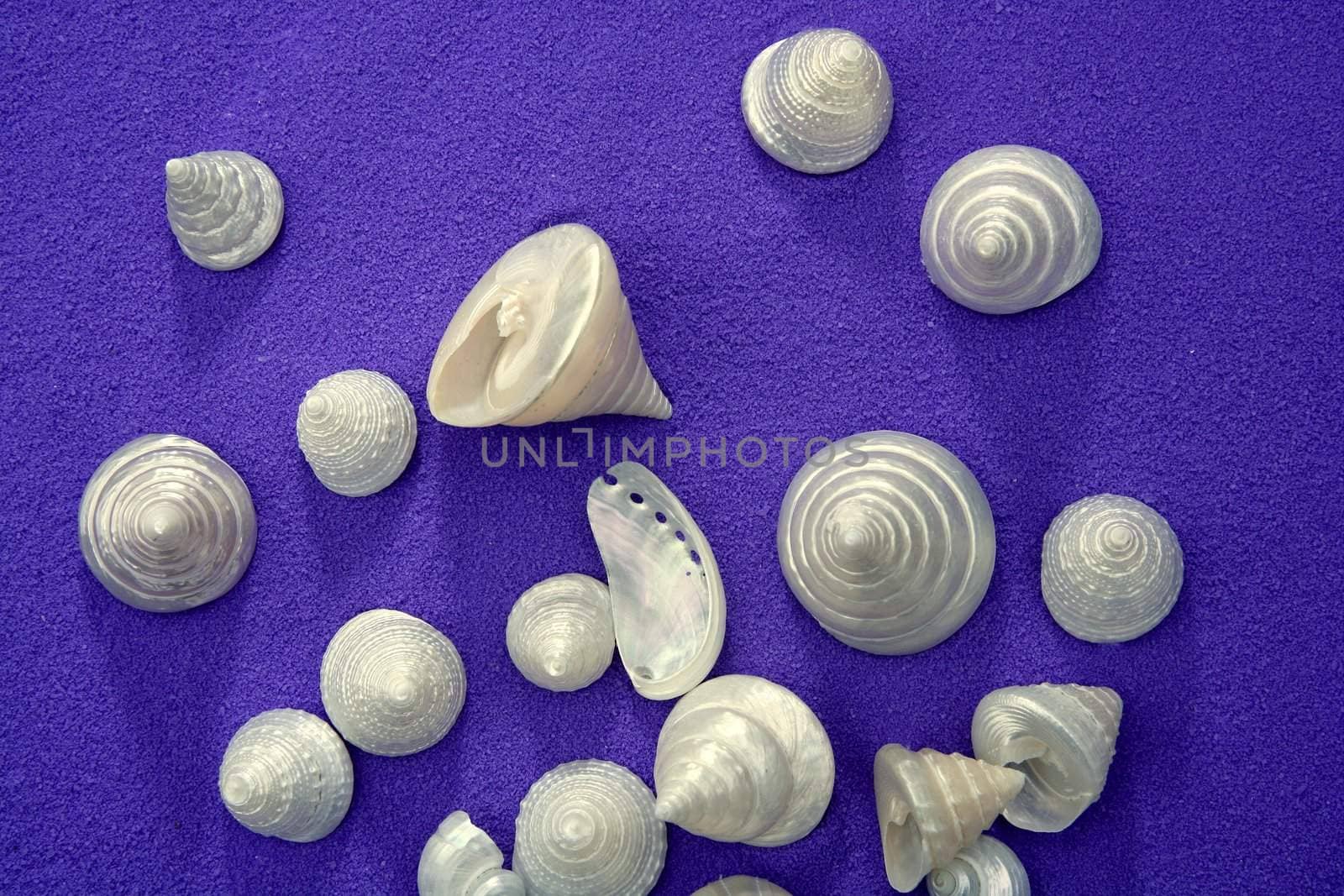 Sea shell over purple blue texture pearly winkles by lunamarina