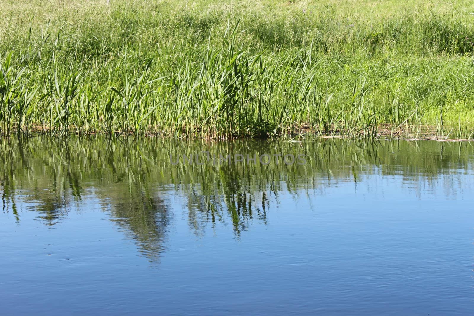 Slow flow of rivers. Blue summer sky reflected in water