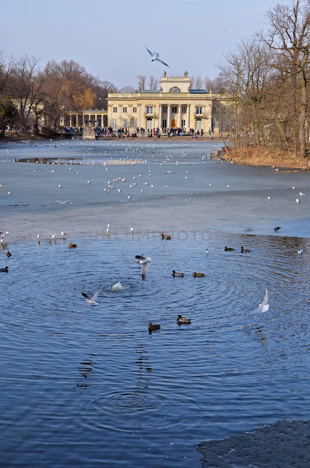 South facade of the Royal Palace in Warsaw Lazienki park. Winter view with frozen lake and many flying birds. People faces not recognizable.
