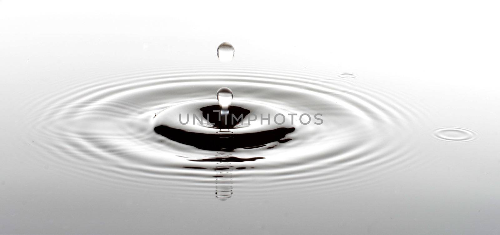 A drop ripples through the pure water