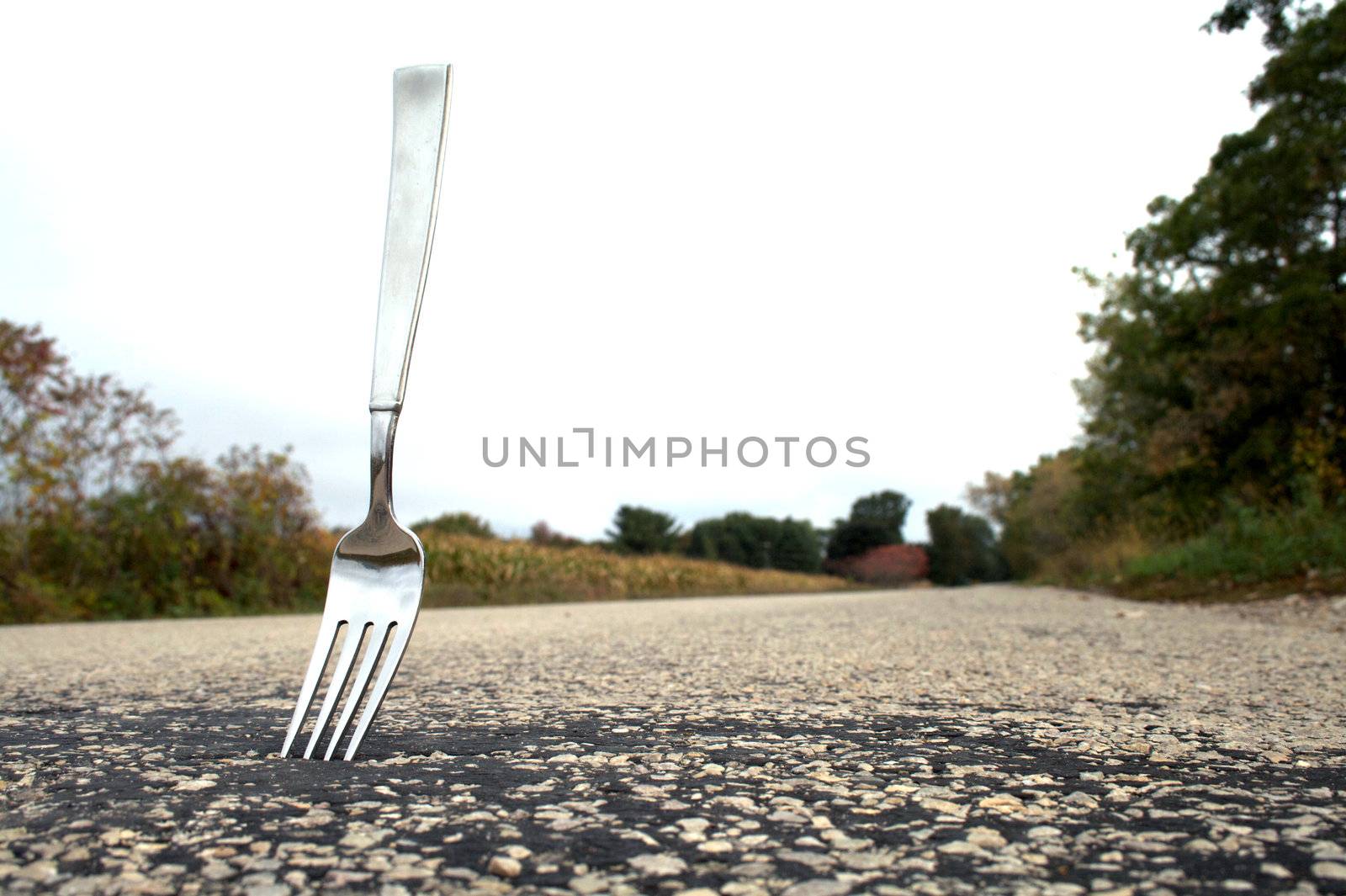 A fork stuck in the middle of the road.