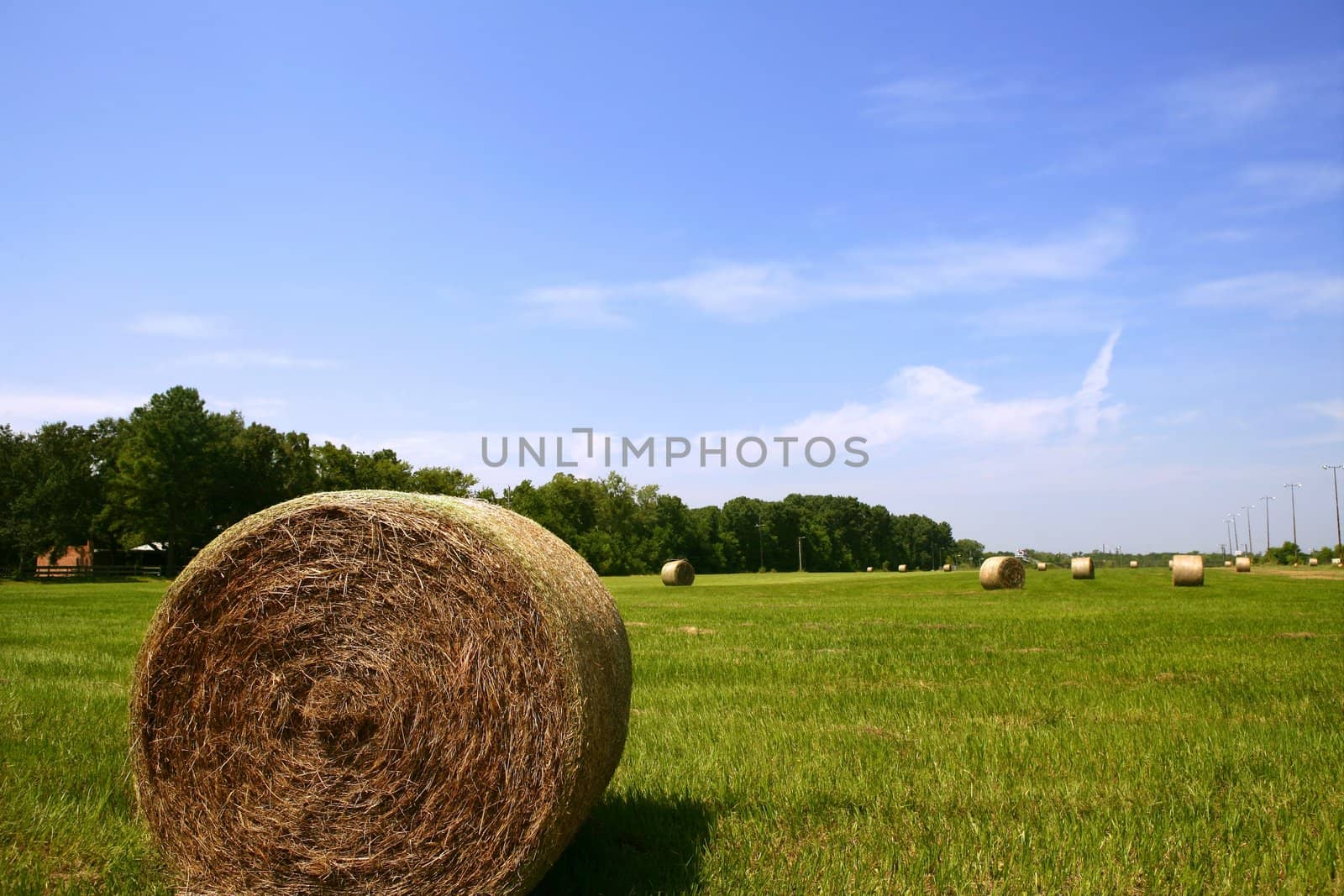 Golden Straw Hay Bales in american countryside by lunamarina