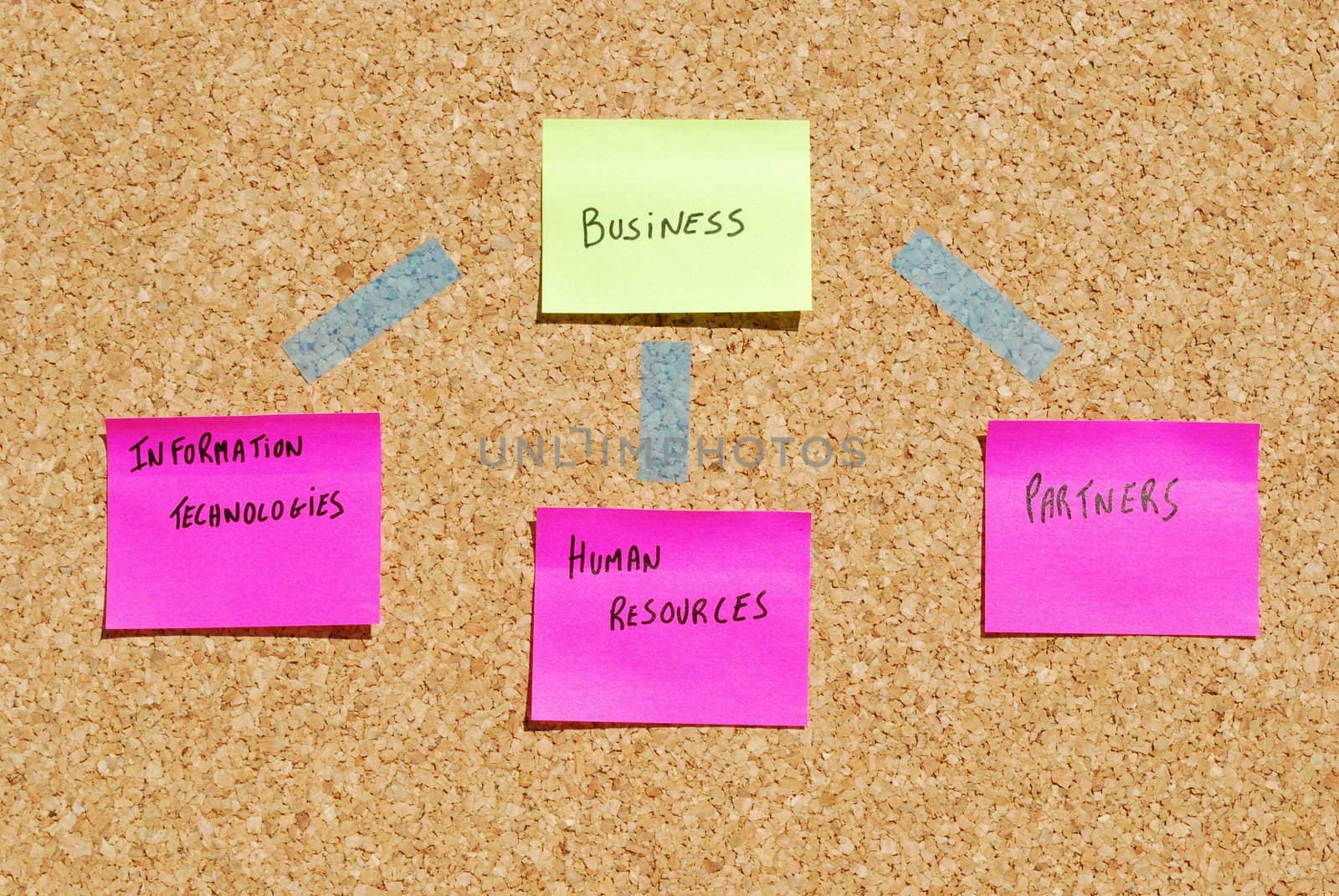 concept of a business organization on a cork board with post it notes