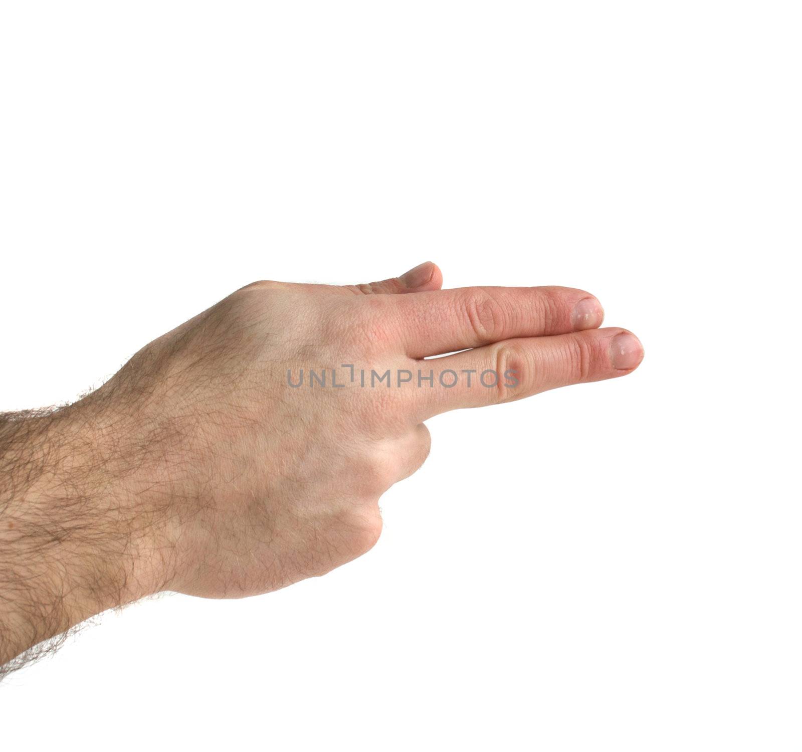 How to sign the letter H using American Sign Language