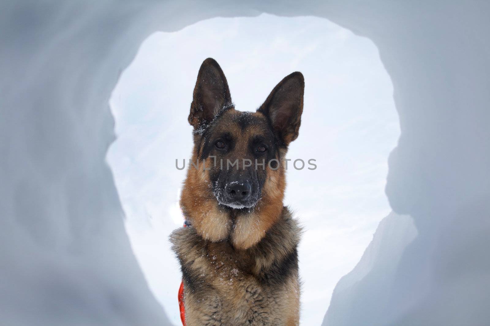 If you are buried in an avalanche, who could imagine a more welcome sight that your hero looking down a hole at you.