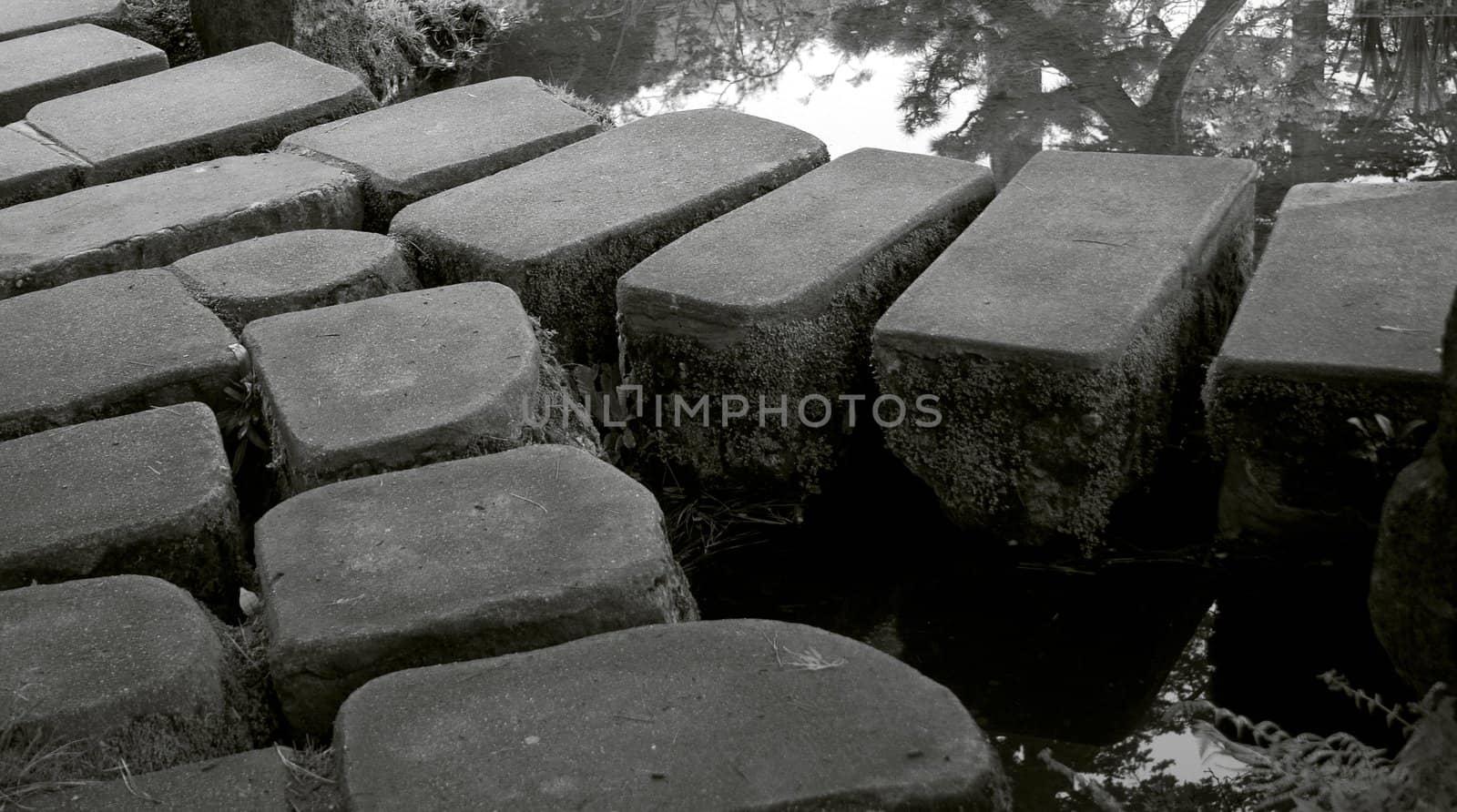 Bridge of stones in japanese garden 