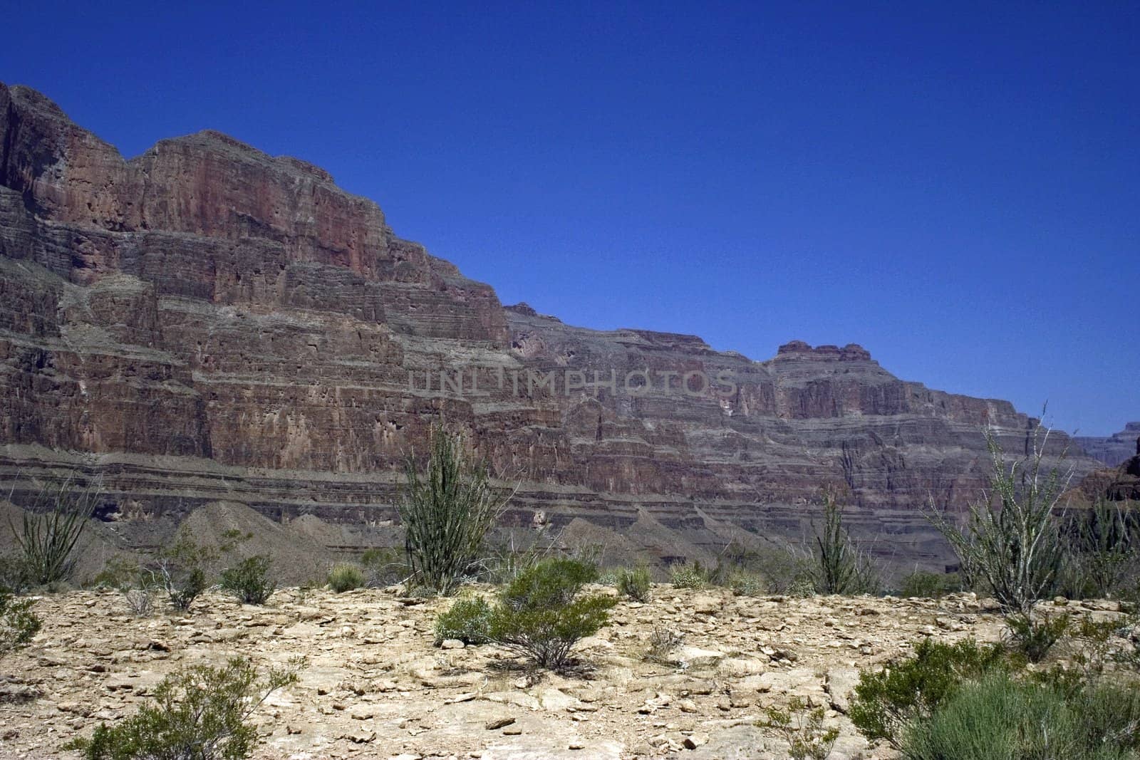 Lifeless desert of Grand Canyon in USA