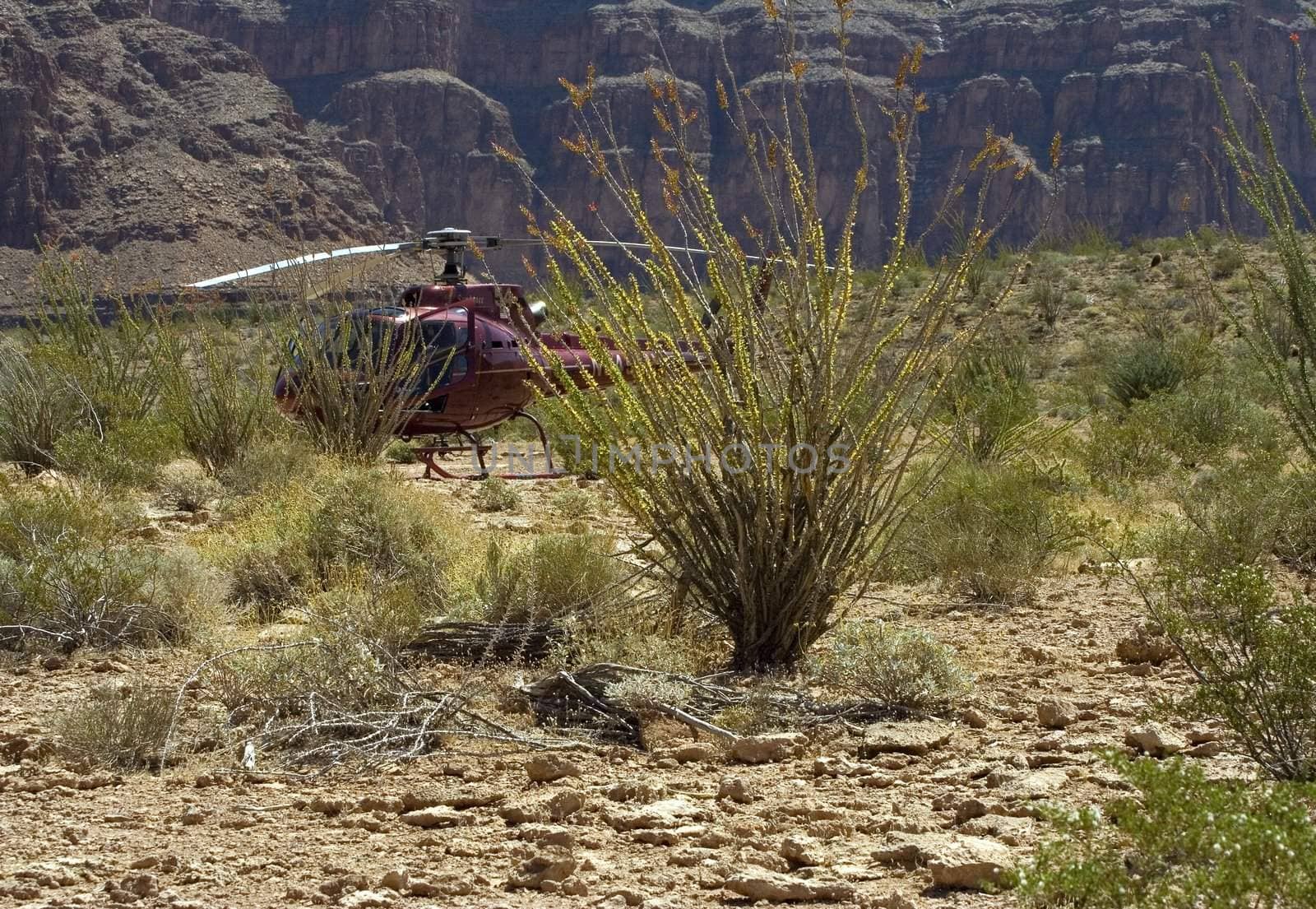 Red helicopter landed in a desert