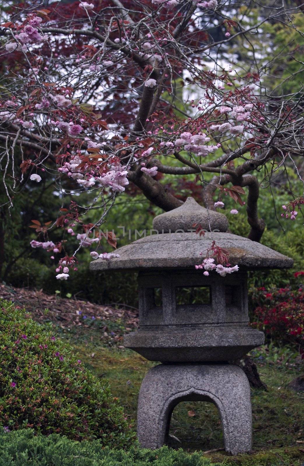 Sakura and stoned sculpture in a garden