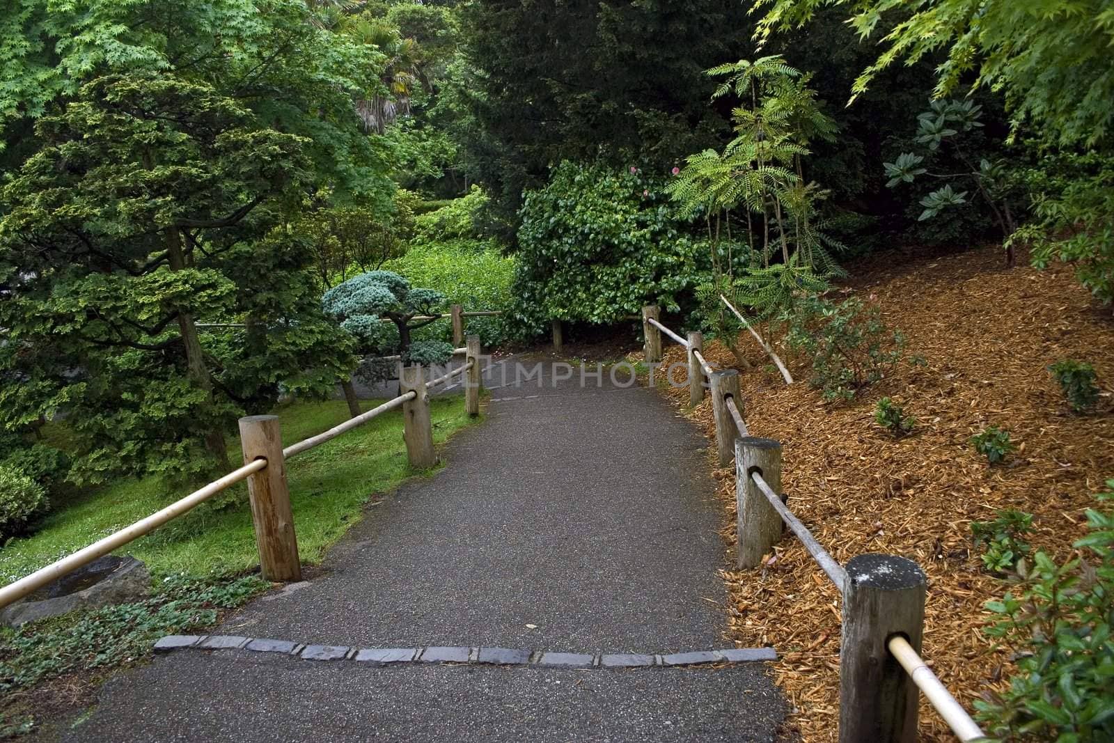 Road with a wooden fence in a tranquil garden