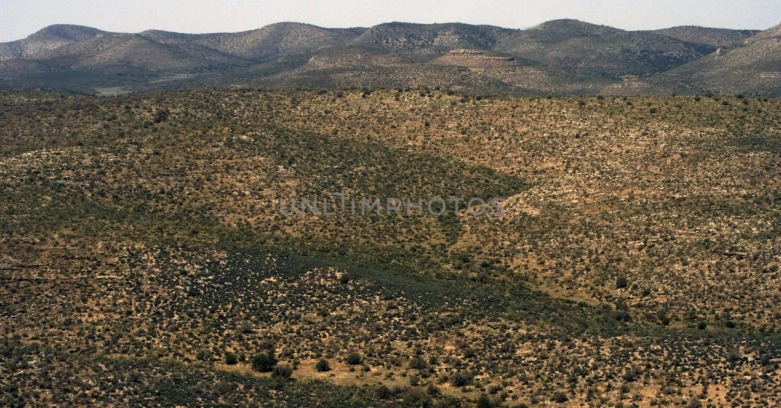 Dry desert with little cactuses in mountains