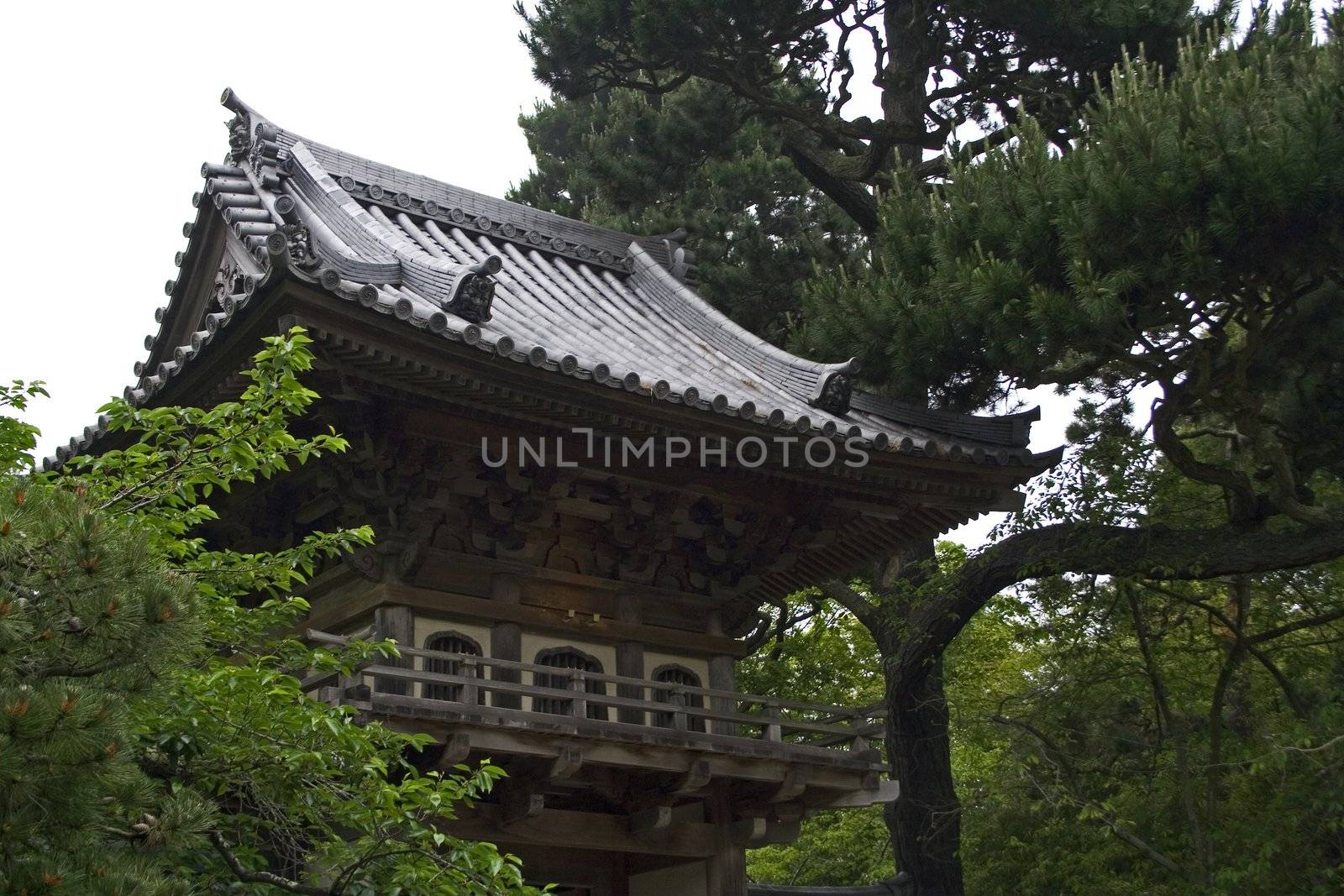 Oriental house in japanese garden through the trees