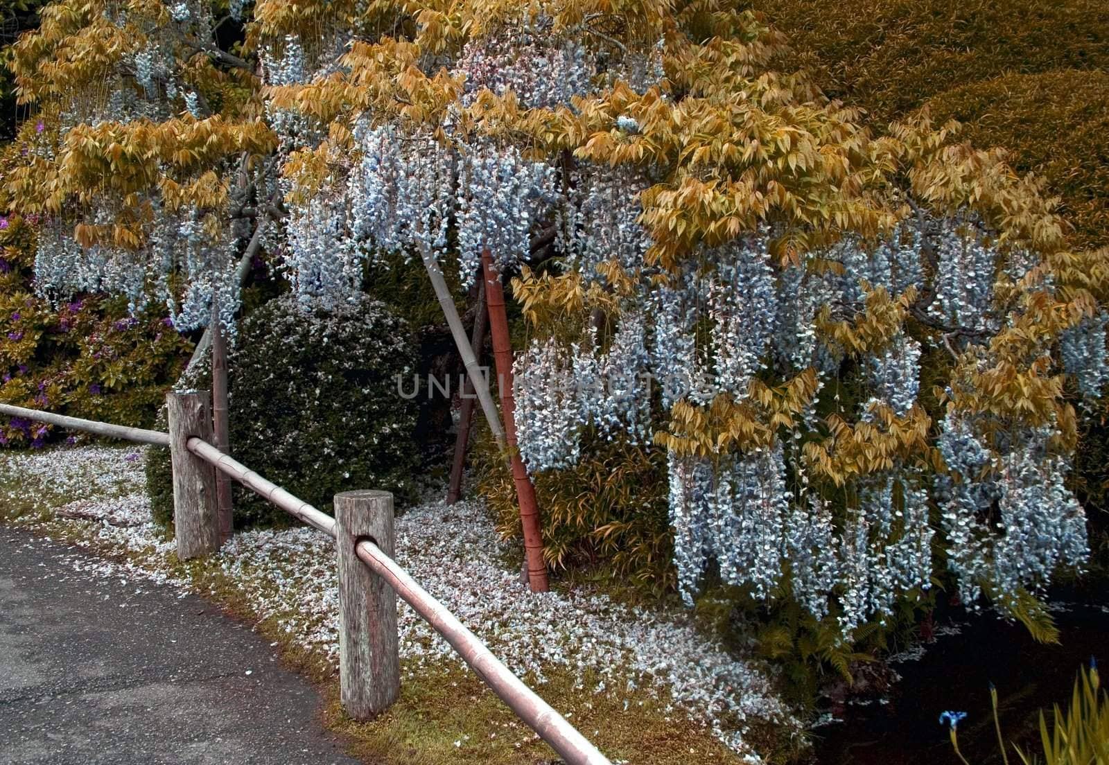 Blooming bud in a japanese garden in retro style