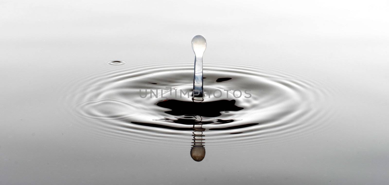 A drop ripples through the otherwise tranquil water