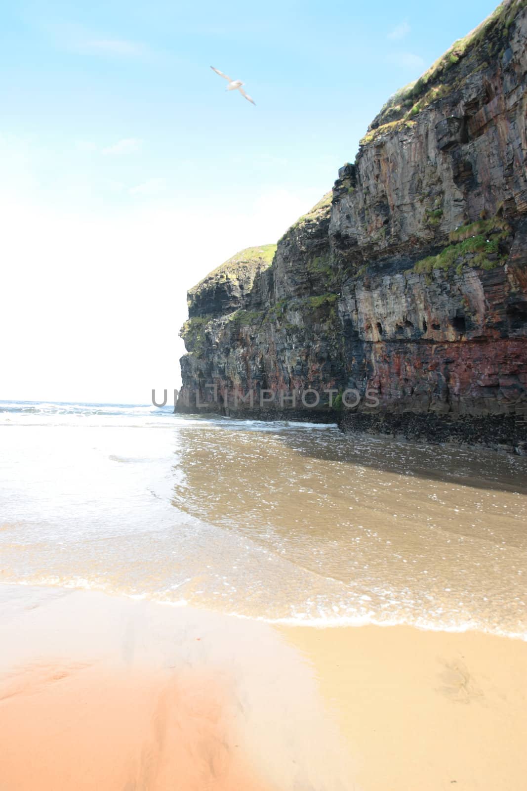 cliffs on the beach in ballybunion ireland