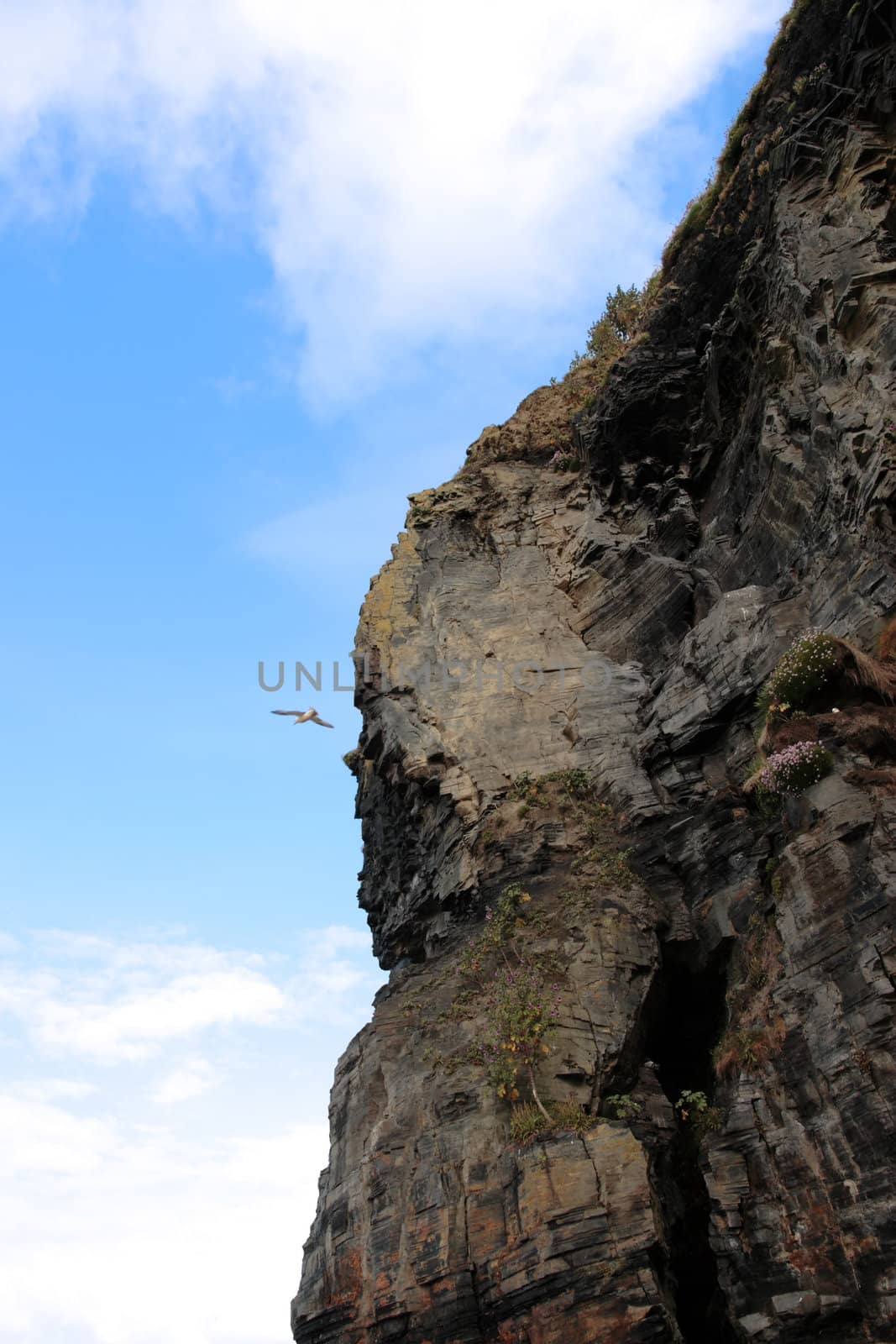 cliffs on the beach in ballybunion ireland