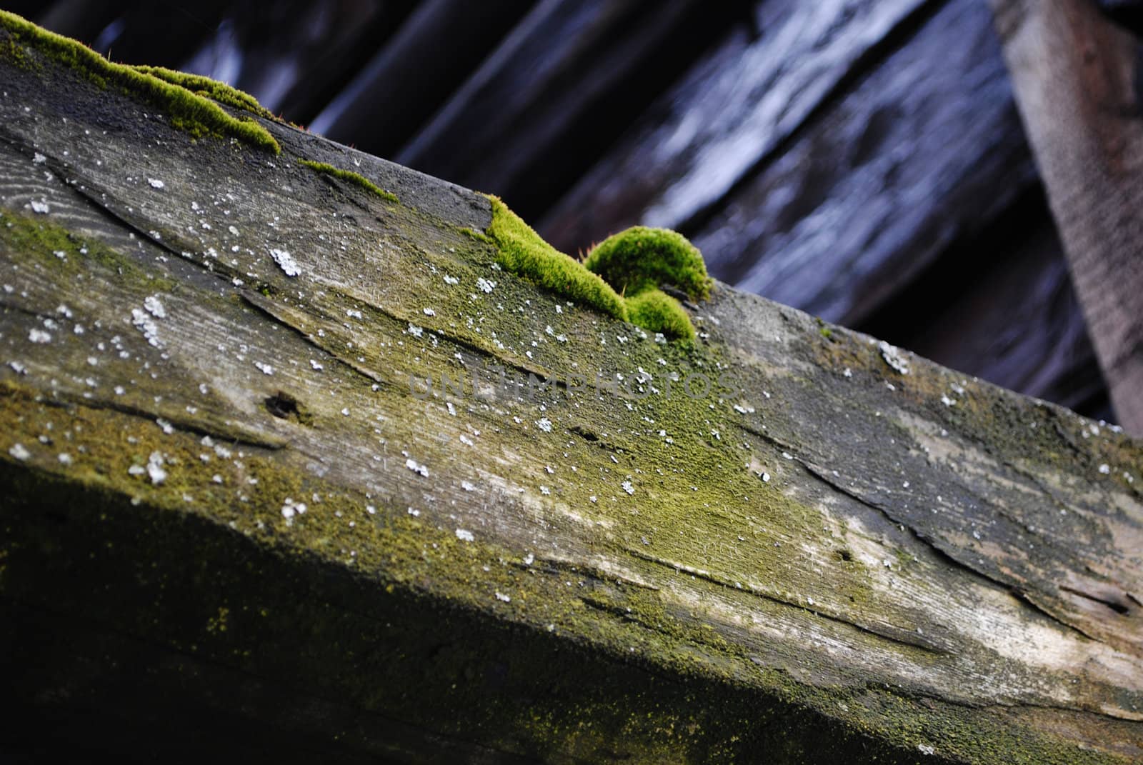 A wooden beam with moss.