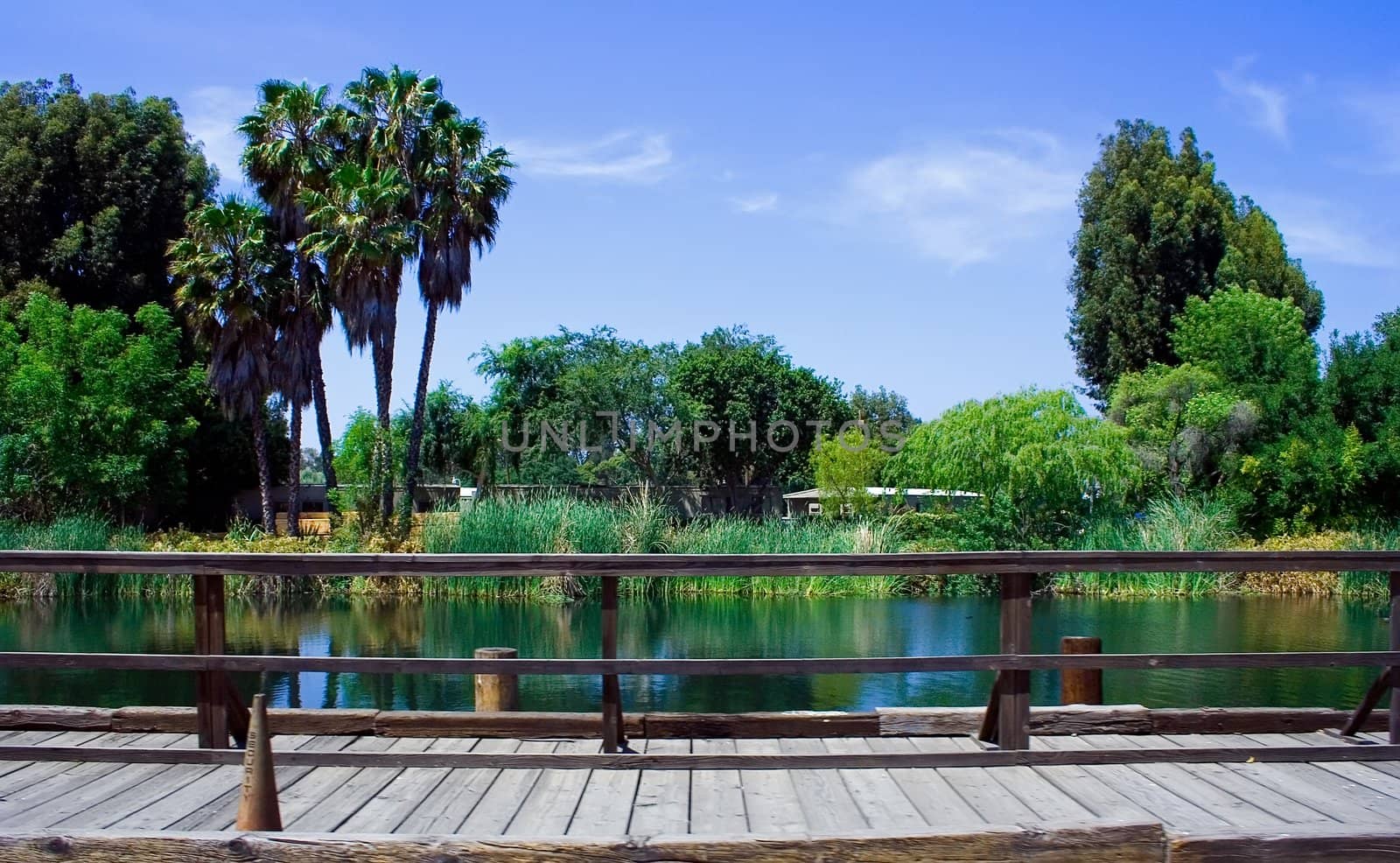 Picturesque quiet scenery in a sunny day