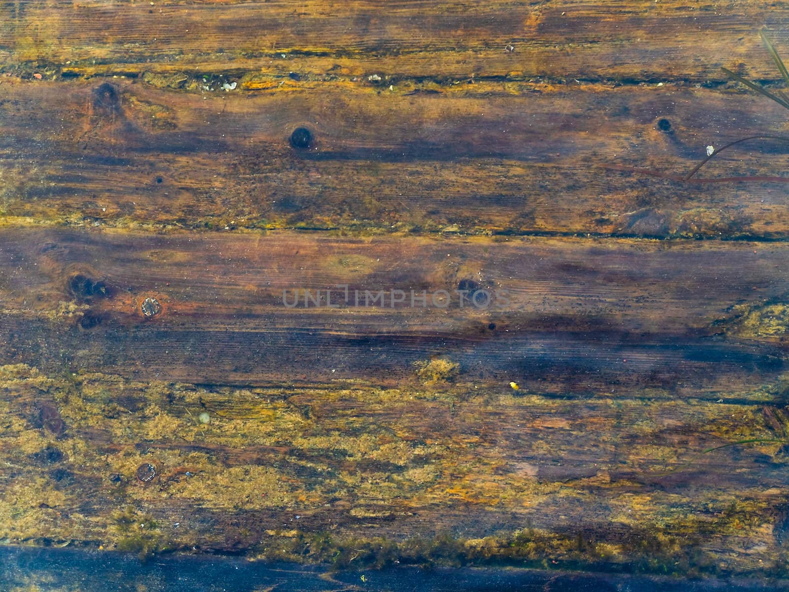 photo of the old wooden background under water