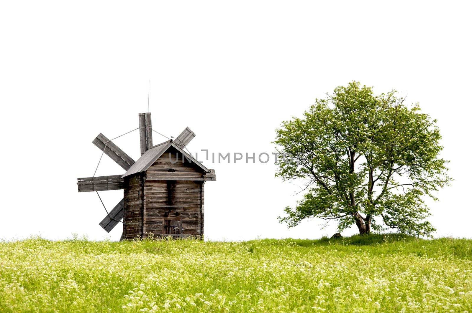 Lanscape with old windmills and a lonely tree