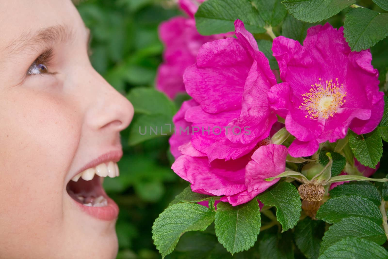 Portret of little  boy smelling  flowers outdoors