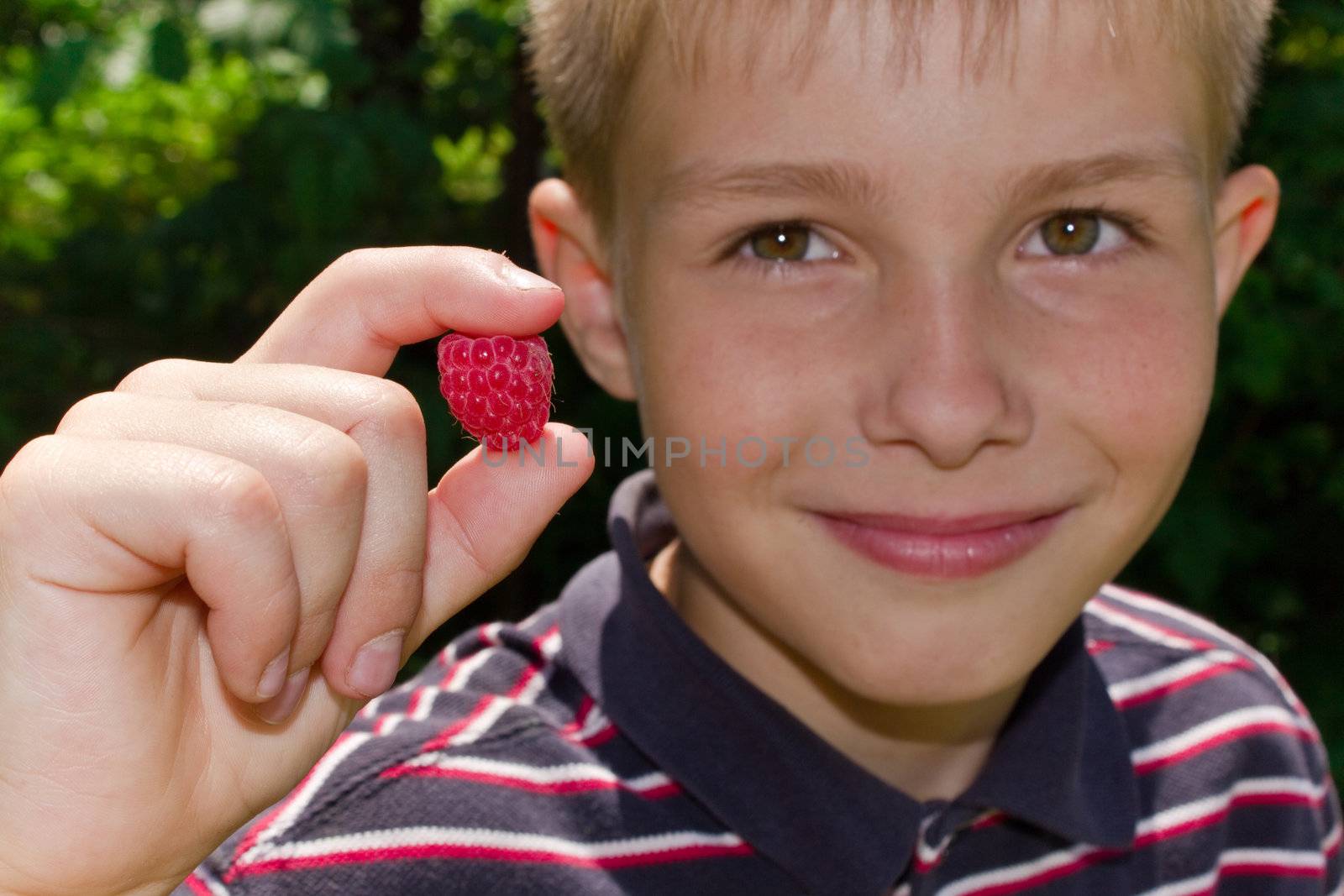 Portret of little smiling boy with raspberry in hand  outdoors