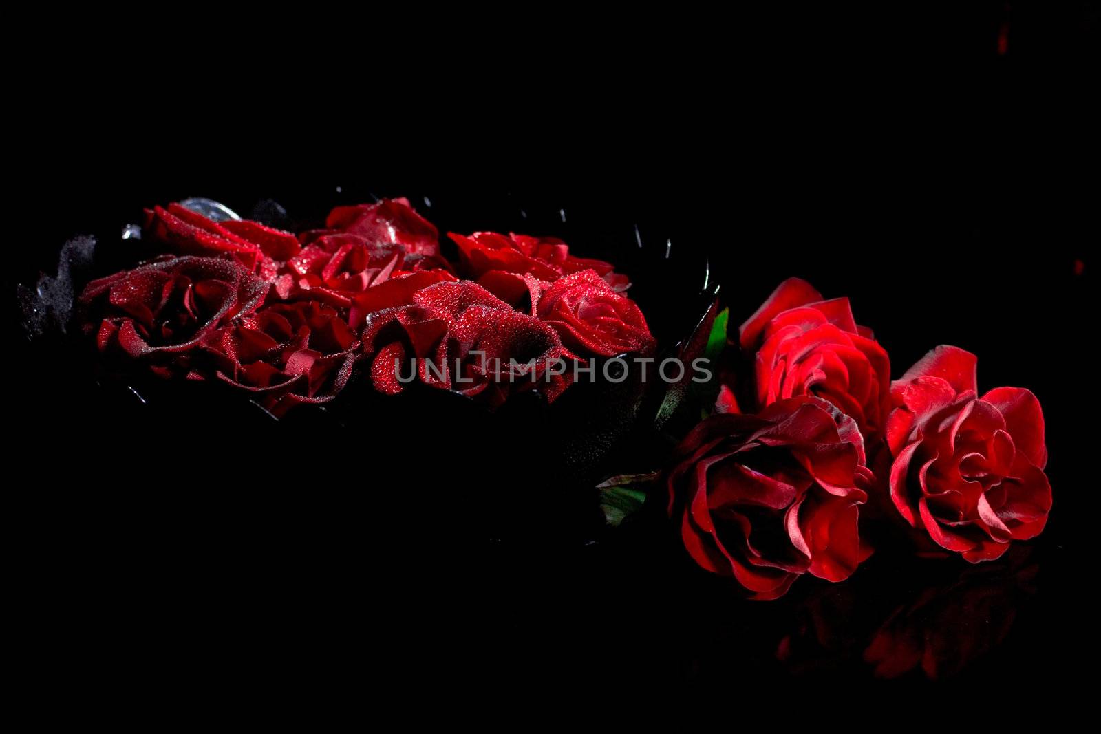 Red roses with water drops by Nika__