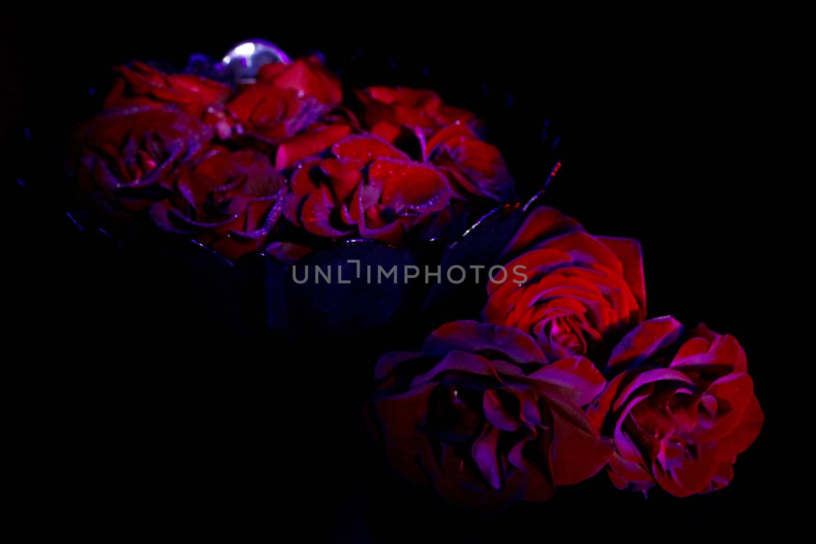 Red rose with water drops in ultraviolet on black