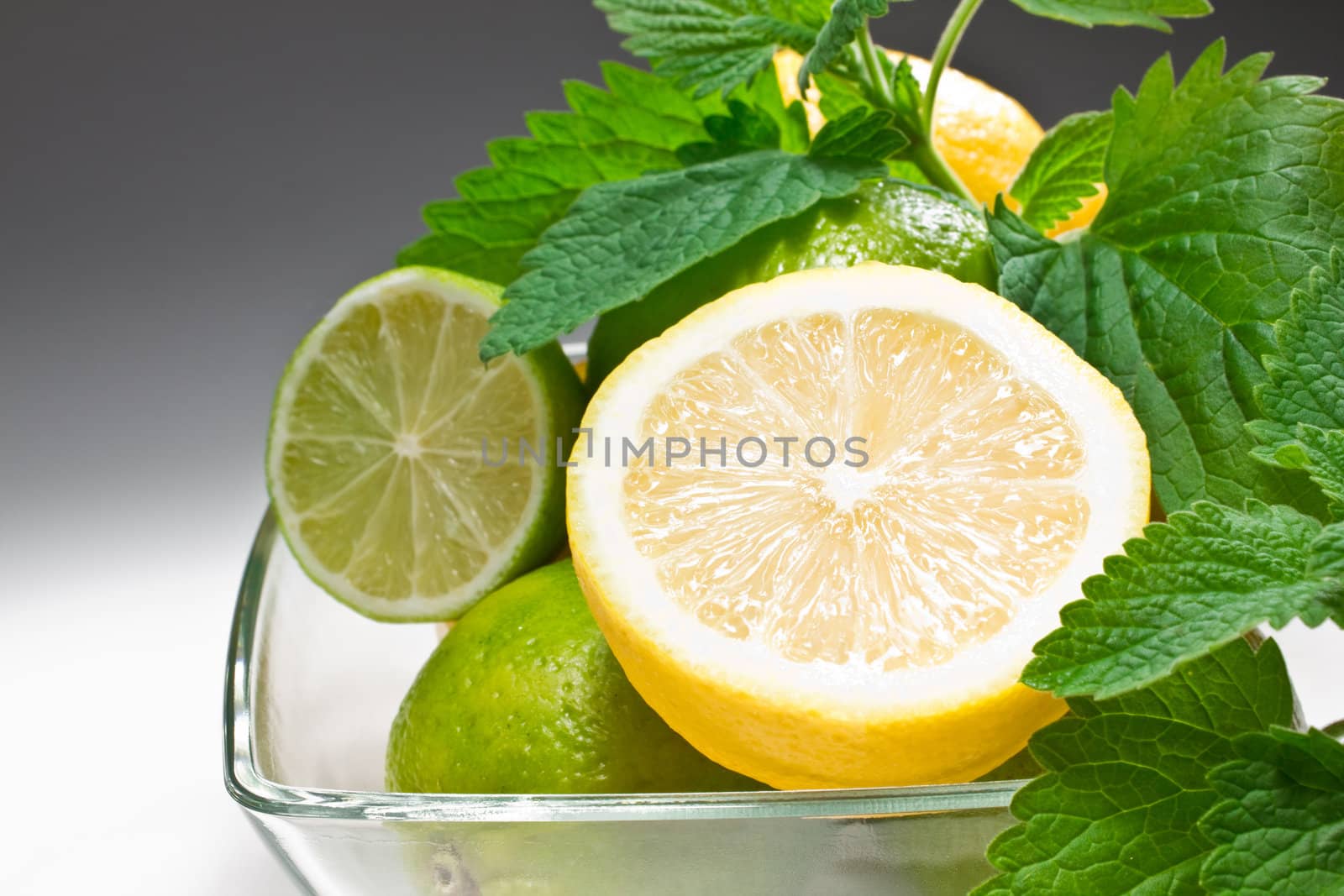 Isolated on white  mint , lime and lemon