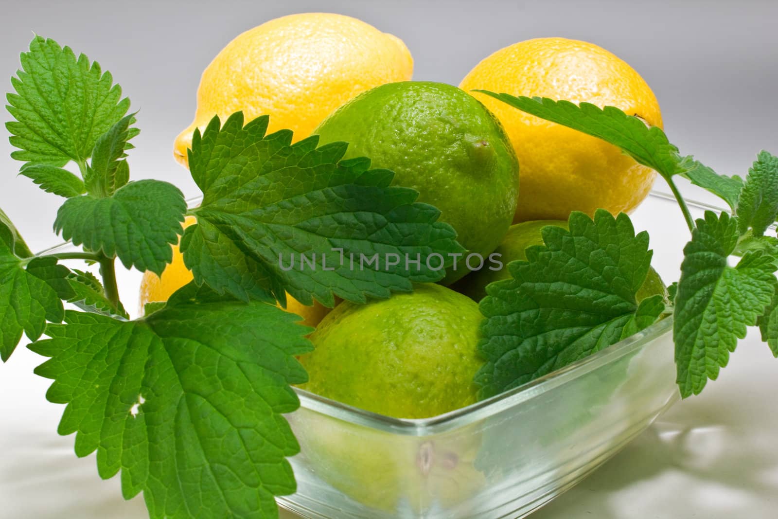 Isolated on white  mint , lime and lemon