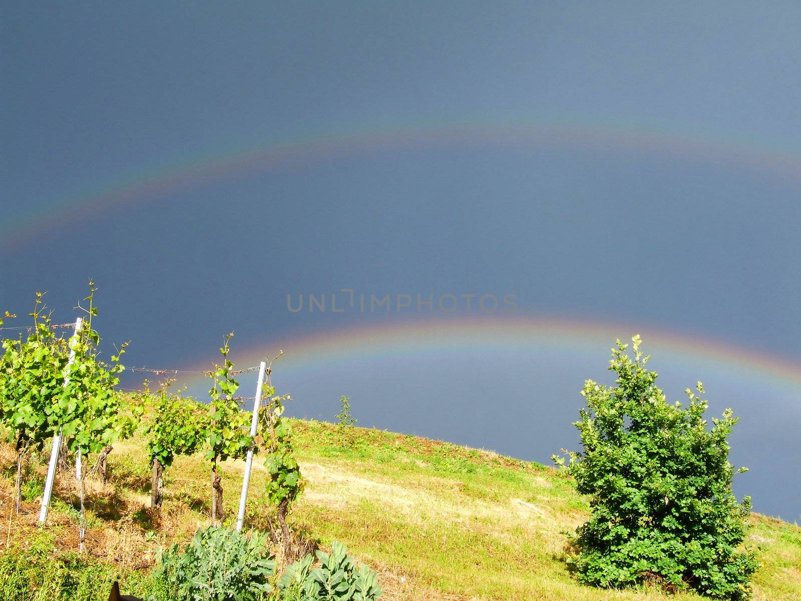 2 Regenbögen
