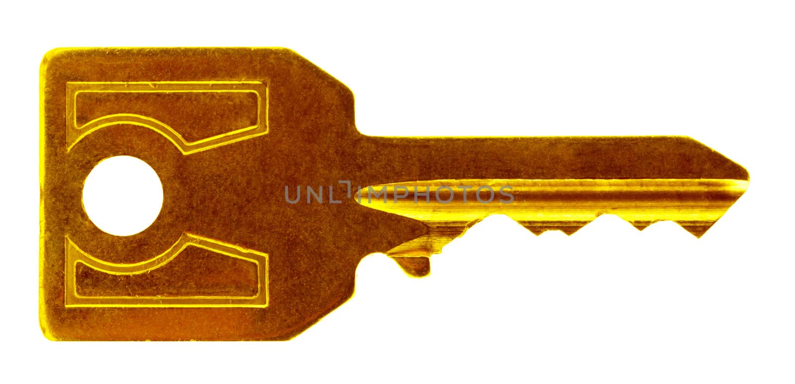 Golden key isolated in white
