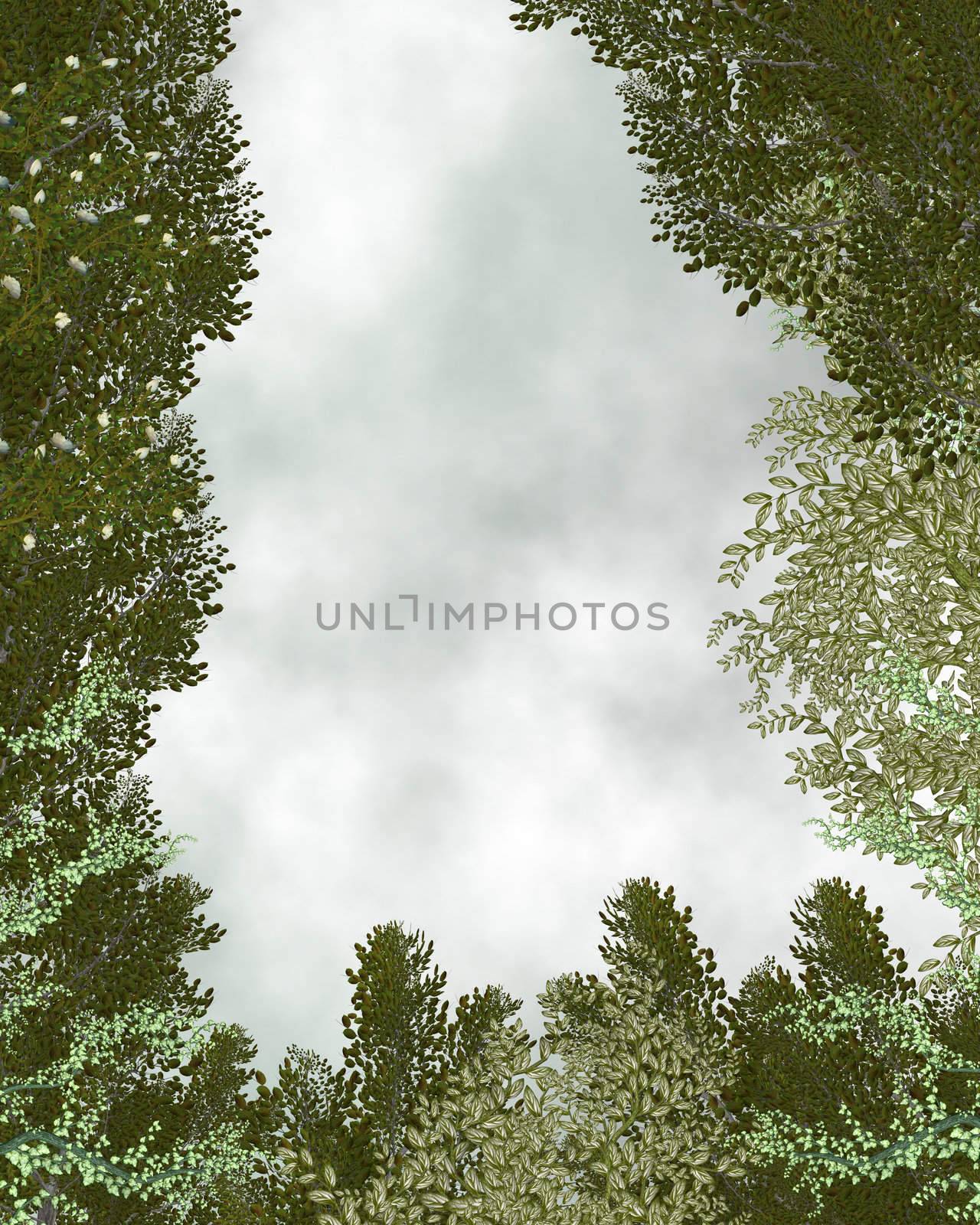 Outdoor forest background