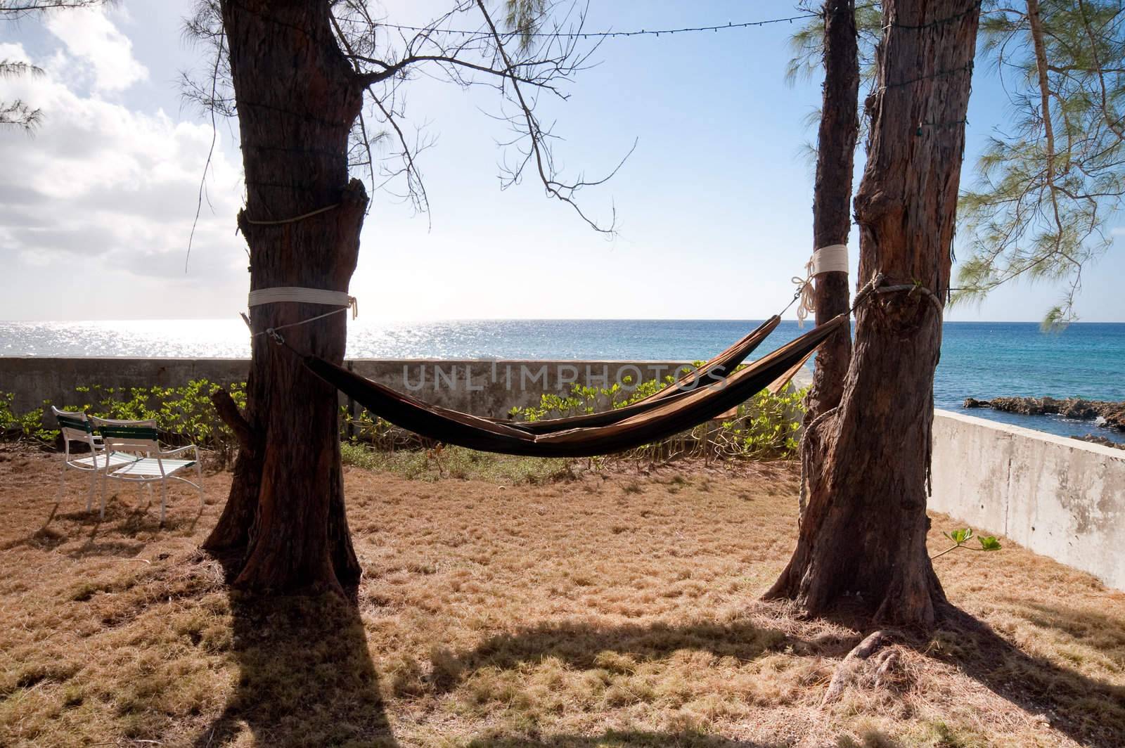 Hammocks in Grand Cayman backyard