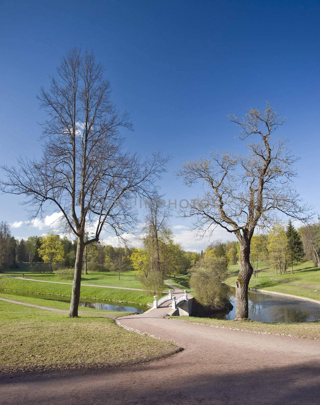 Bridge with vases and spring trees in the park