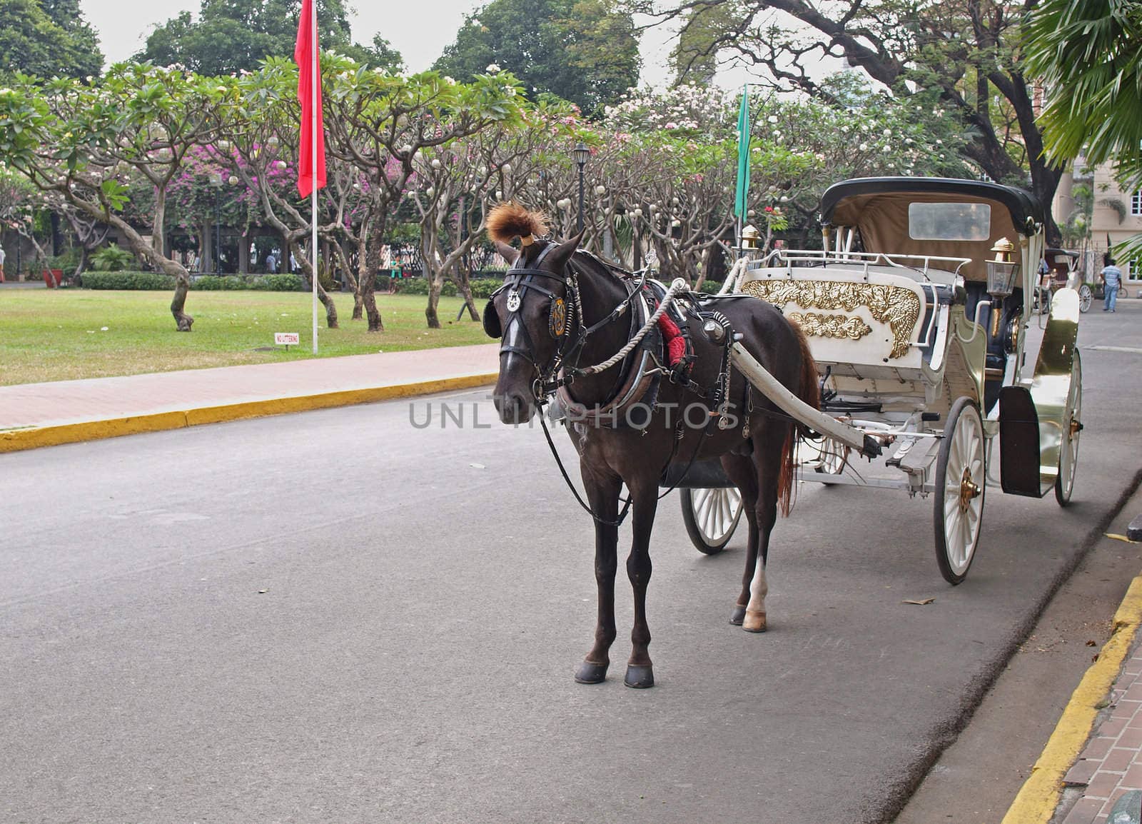 horse driven hispanic carriage at fort santiago, intramuros manila