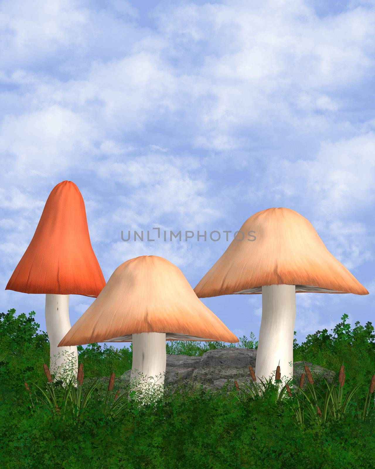 Outdoor Background With Three Mushrooms