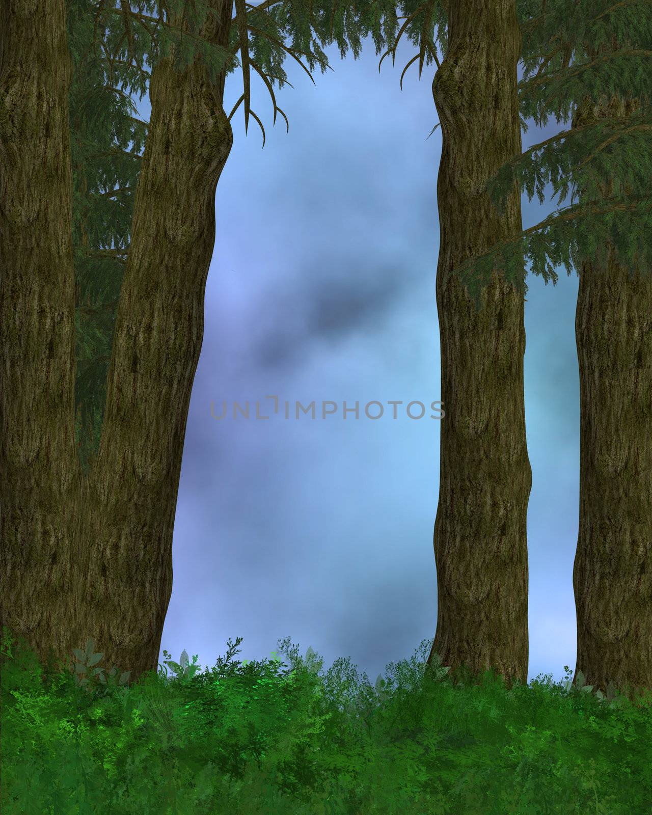 Outdoor forest background