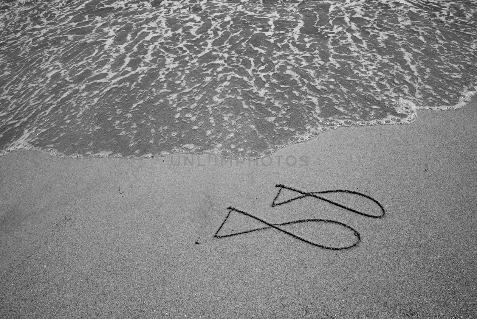 Fishes drawn in sand on beach
