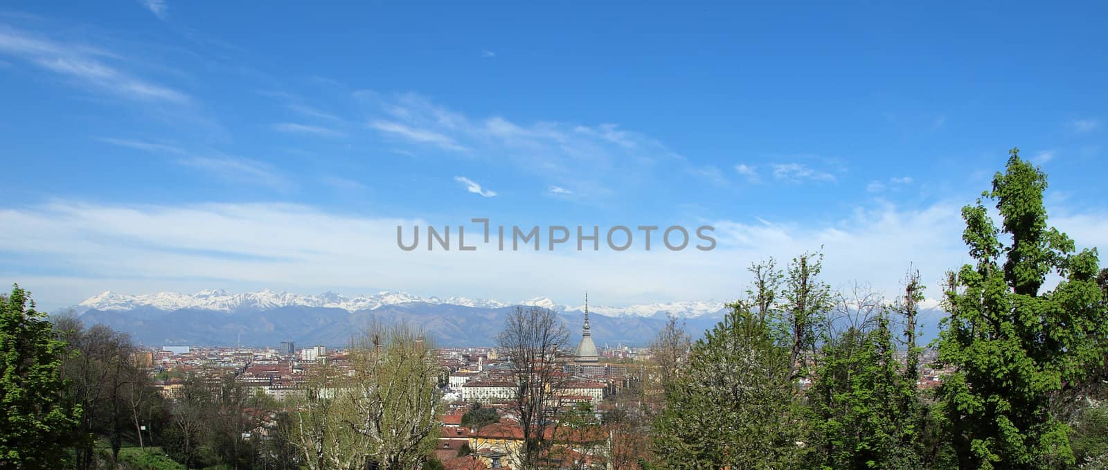 City of Turin (Torino) skyline panorama seen from the hill
