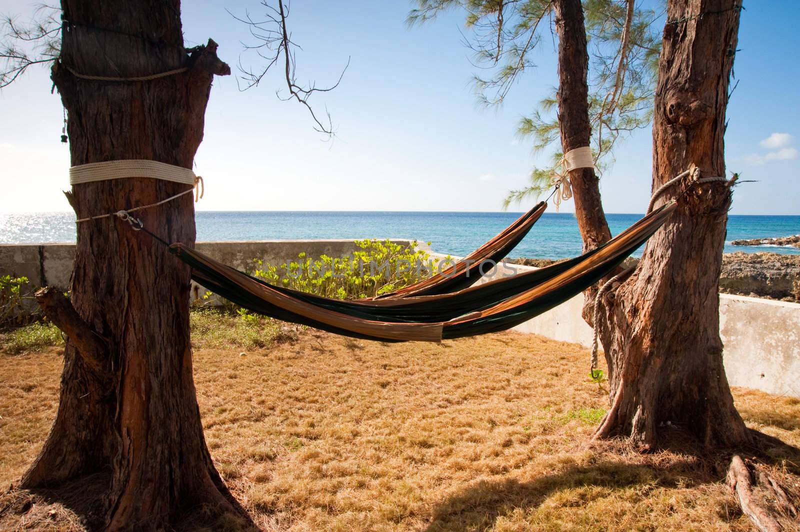 Hammocks in Grand Cayman backyard