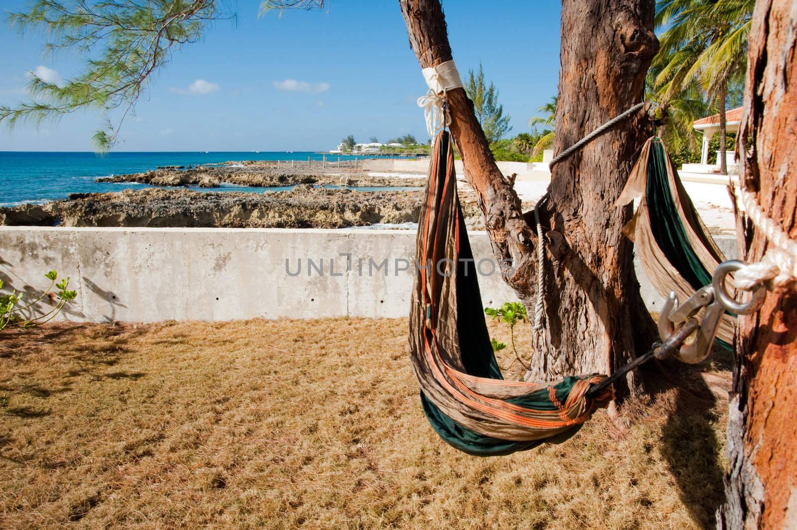 Hammocks in Grand Cayman backyard